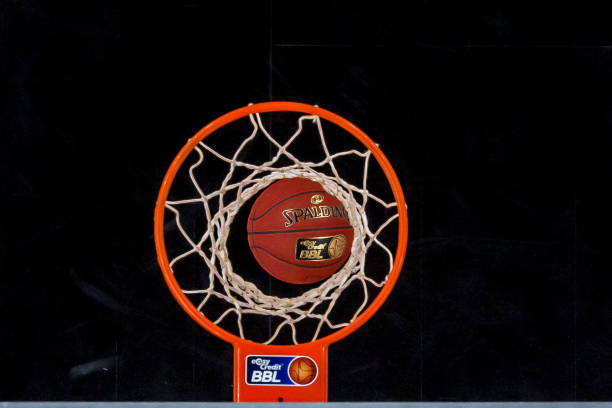 例如依靠其 例如依靠其